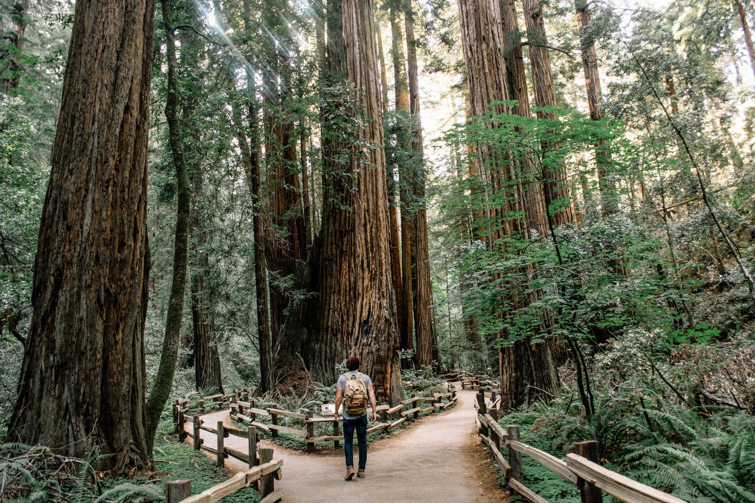 Prioritize like Gandalf, not like Joey Tribbiani: the RICE technique 📊
